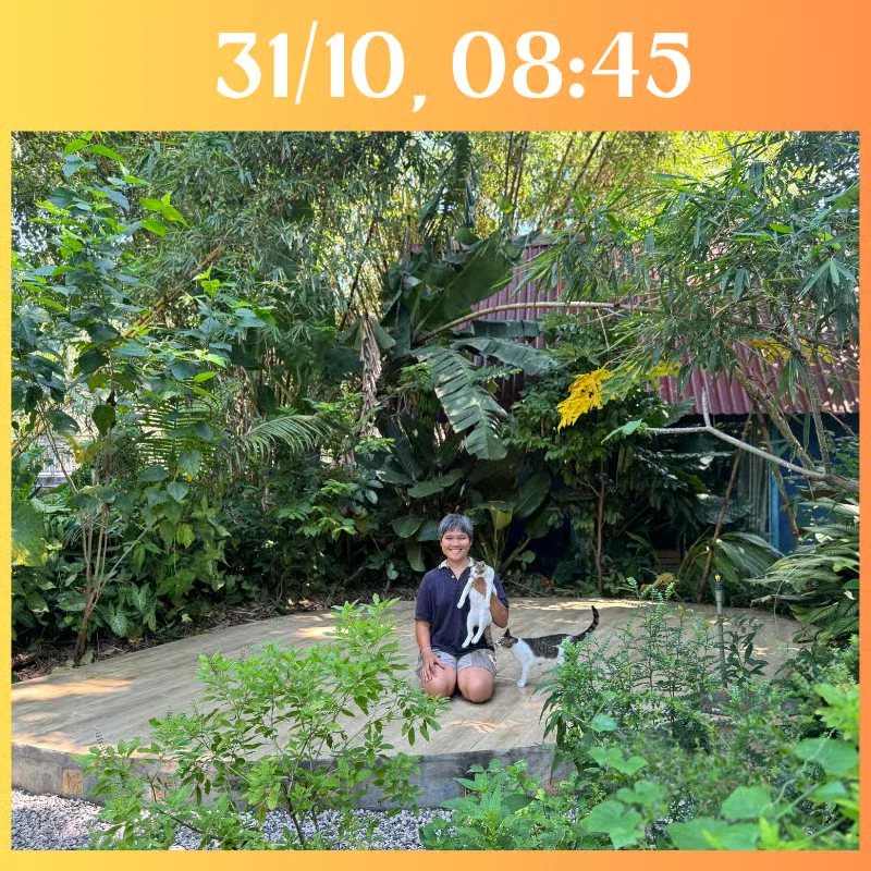 Garden photo with person and cats; date 31 October, 08:45 printed above the image