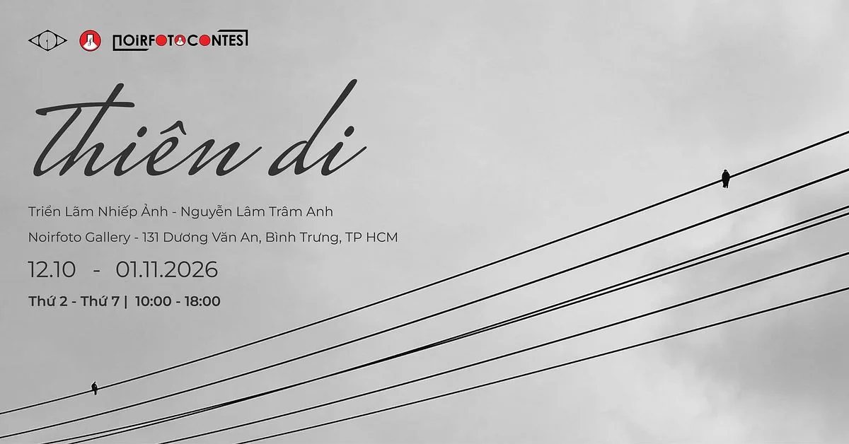 Thiên Di photography exhibition artwork with birds on wires and the show title