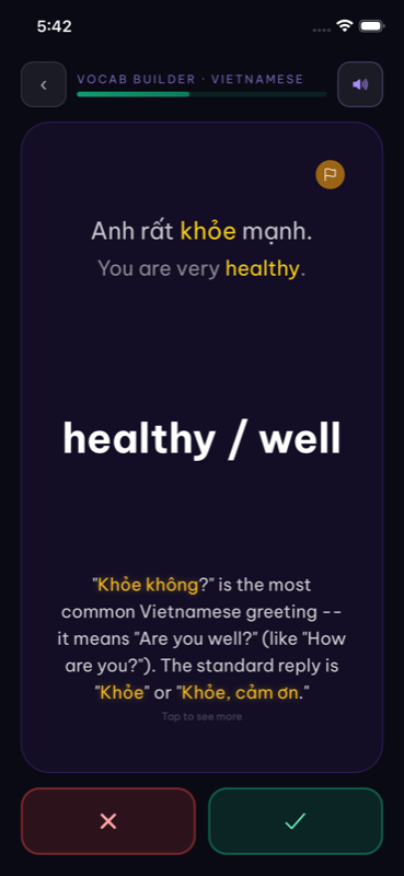 Flashcard back showing khỏe with example sentence and cultural greeting notes